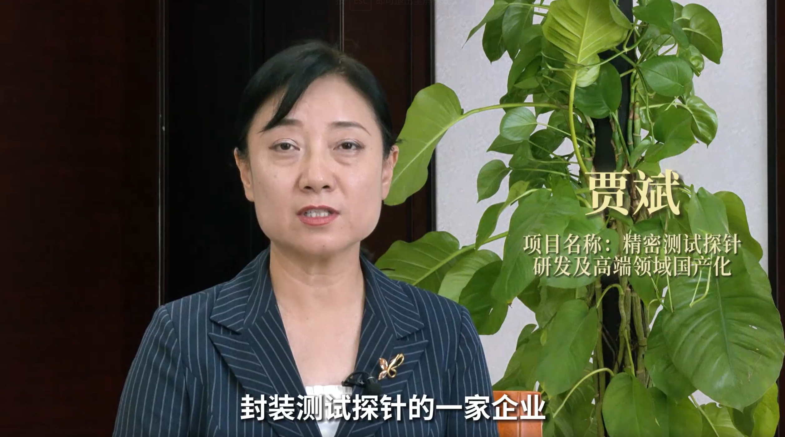 贾斌丨精密测试探针研发及高端领域国产化